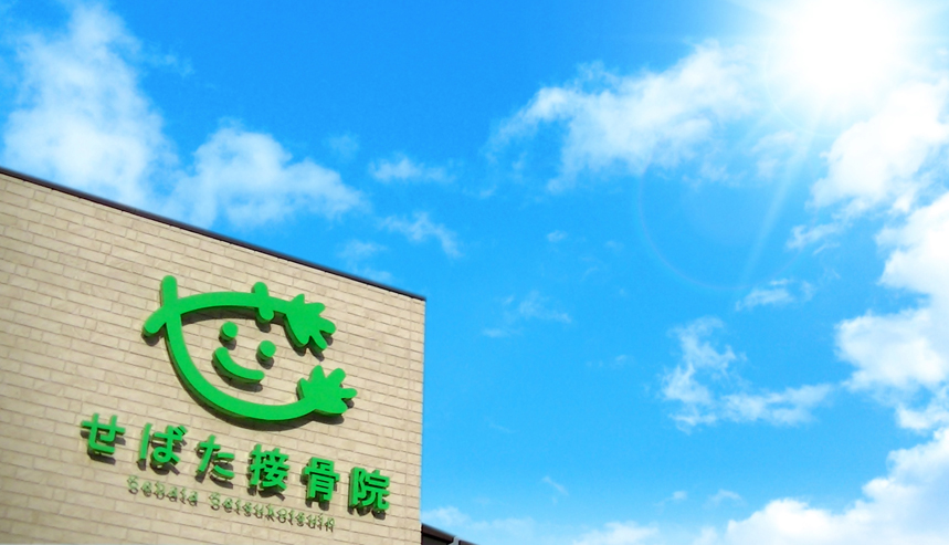 せばた接骨院全景