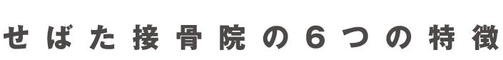 せばた接骨院の特徴