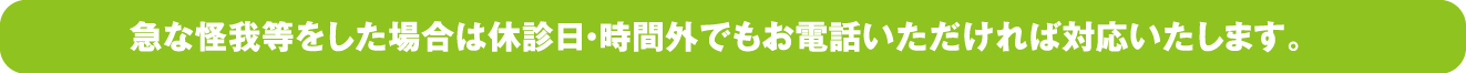 急な怪我等をした場合は休診日・時間外でもお電話いただければ対応いたします